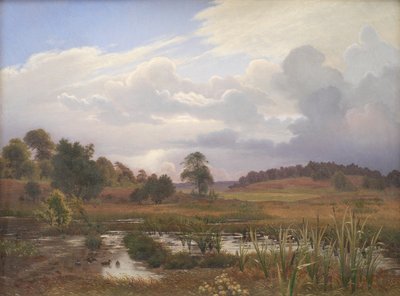 Krajina poblíž lesa North Forest, Jægerspris, Zéland od Vilhelm Kyhn