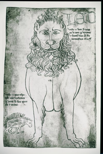 Paní Fr 19093 fol. 24v Lev a Porcupine (faksimile) od Villard de Honnecourt