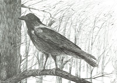 Pták, 2011 od Vincent Alexander Booth