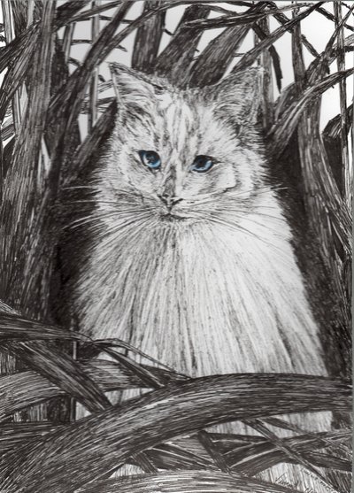 Jungle Monty, 2015, (tuš na papíře) od Vincent Alexander Booth