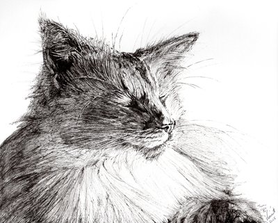 Monty útulný chlapec, 2015, (inkoust na papíře) od Vincent Alexander Booth