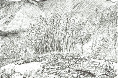 Starý kamenný most v jezerní oblasti, 2005 od Vincent Alexander Booth