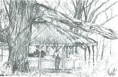 Venkovní bar, jezero Naivasha, 2006; (inkoust na papíře) od Vincent Alexander Booth