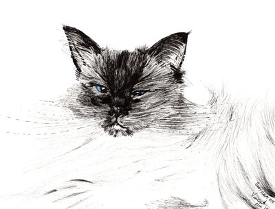 Ospalé oko, 2015, (inkoust na papíře) od Vincent Alexander Booth