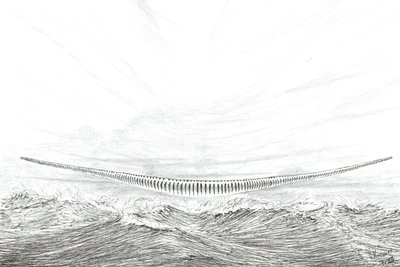 Storm Creators Cape Leveque, 2023 od Vincent Alexander Booth