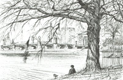 Řeka Charles, Boston. 2003, (Inkoust na papíře) od Vincent Alexander Booth