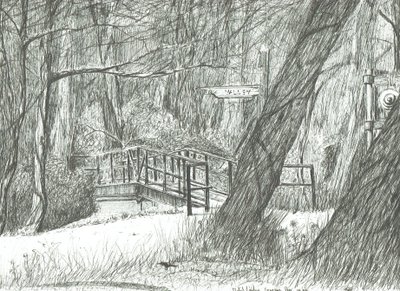 Starý kovový most, Bramhall park, 2004 od Vincent Alexander Booth