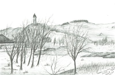 Wallaceův pomník; 2007; (inkoust na papíře) od Vincent Alexander Booth