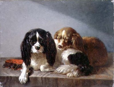King Charles španělé od Vincent de Vos