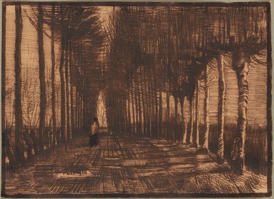 Alej Pollardových bříz a topolů od Vincent van Gogh
