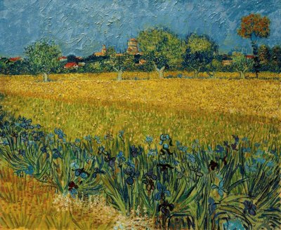Pohled na Arles s květy iris v popředí od Vincent van Gogh