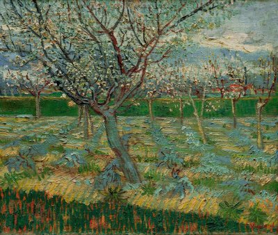 Kvetoucí sad s meruňkami od Vincent van Gogh