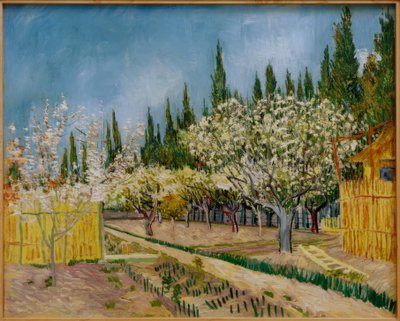Kvetoucí sad obklopený cypřiši od Vincent van Gogh