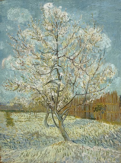 Kvetoucí broskvoň (růžová). Arles, duben-květen 1888 od Vincent van Gogh