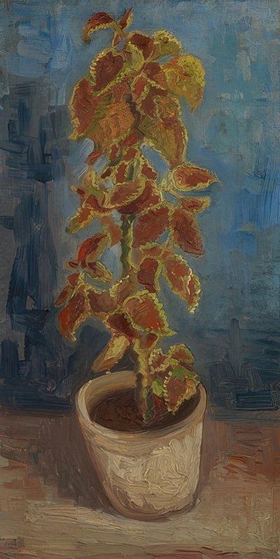 Květináč s barevnou kopřivou. 1886 od Vincent van Gogh
