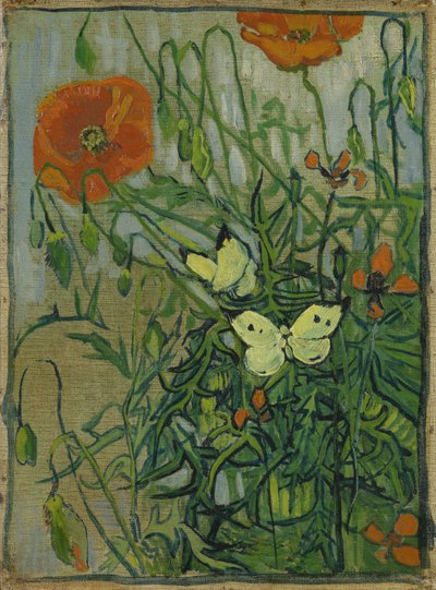 Motýli a vlčí máky od Vincent van Gogh