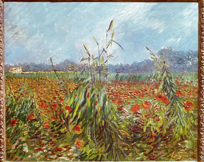 Kukuřičná pole a máky (olej na plátně) od Vincent van Gogh