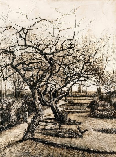 Zahrada fary v Nuenenu. 1884 od Vincent van Gogh