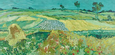 Auversská rovina od Vincent van Gogh
