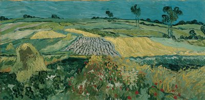 The Auvers Plain od Vincent van Gogh