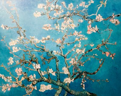 Nizozemsky: Amandelbloesem Kvetoucí mandloňový stromek s větvemi od Vincent van Gogh