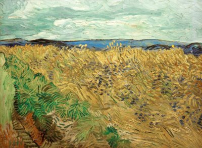 Pole s chrpy od Vincent van Gogh