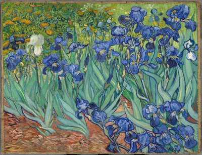 Kosatce od Vincent van Gogh