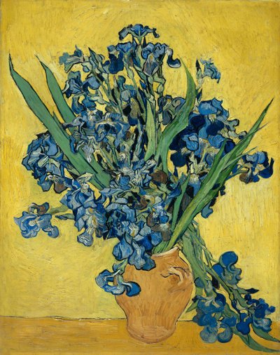 Kosatce od Vincent van Gogh