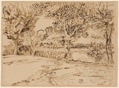 Krajina v Arles od Vincent van Gogh