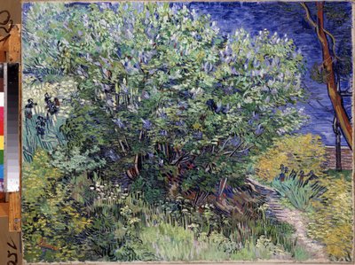 ""Šeříkový keř"" (Šeříkový keř) Obraz Vincenta van Gogha (1853-1890) 1889 Rozměr 72x92 cm Muzeum Ermitáž, Petrohrad (Saint-Petersburg) od Vincent van Gogh