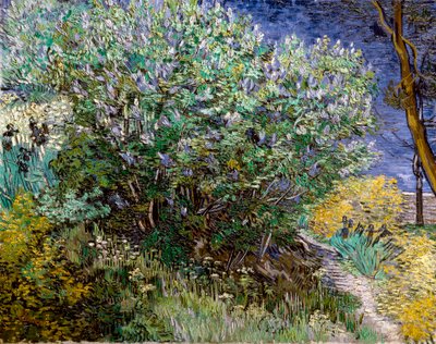 Šeříkový keř. Vincent VAN GOGH (1853-1890) od Vincent van Gogh