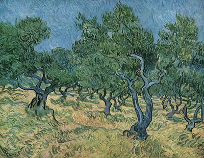 Olivový háj od Vincent van Gogh