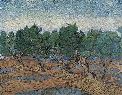 Olivový háj od Vincent van Gogh