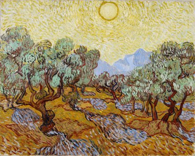 Olivovníky od Vincent van Gogh