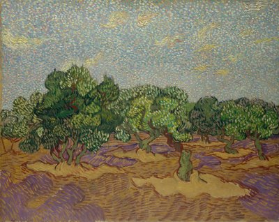 Olivovníky, 1889. od Vincent van Gogh