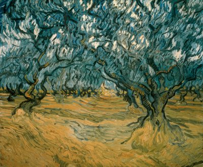 Olivovníky od Vincent van Gogh