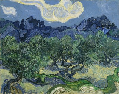 Olivovníky. 1889 od Vincent van Gogh