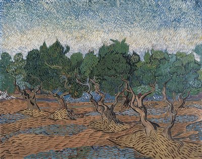 Olivový háj. 1889 od Vincent van Gogh