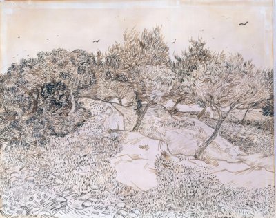 Olivovníky v Montmajour od Vincent van Gogh