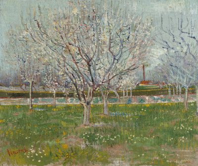 Sad v květu (švestky) od Vincent van Gogh