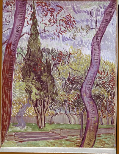 Park nemocnice Saint-Paul v Saint-Remy-de-Provence od Vincent van Gogh