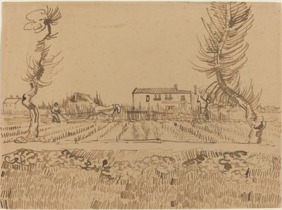 Oráč na polích poblíž Arles, 1888. od Vincent van Gogh