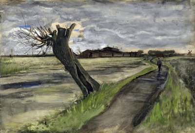 Pollard Willow (saule tetard) podle Gogha, Vincenta, van (1853-1890). Tužka, akvarel, Kvaš, tuš na papíře, rozměr : 38x55,8 od Vincent van Gogh