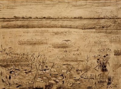 Bažinatá krajina s lekníny od Vincent van Gogh