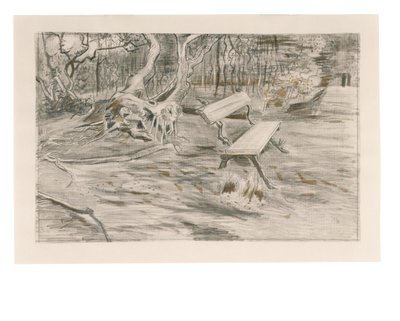 Lavička, 1882 od Vincent van Gogh