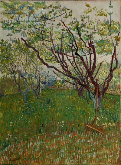 Kvetoucí sad, 1888. od Vincent van Gogh
