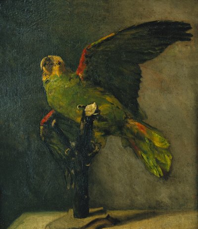 Zelený papoušek; Zelený papoušek, 1885 od Vincent van Gogh