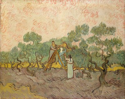 Sběrači oliv, Saint-Remy od Vincent van Gogh