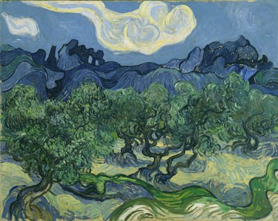Olivovníky od Vincent van Gogh