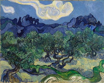 Olivovníky od Vincent van Gogh